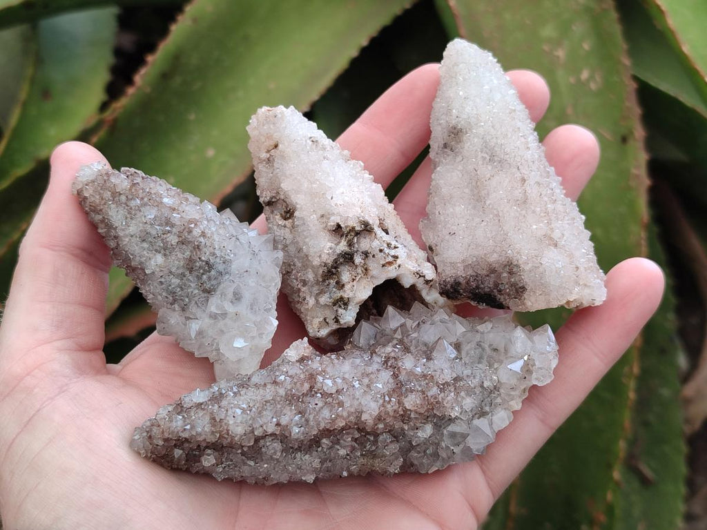 Natural Drusy Quartz Coated Spearhead Calcite Crystals x 12 From Albert's Mountain, Lesotho - Toprock Gemstones and Minerals 