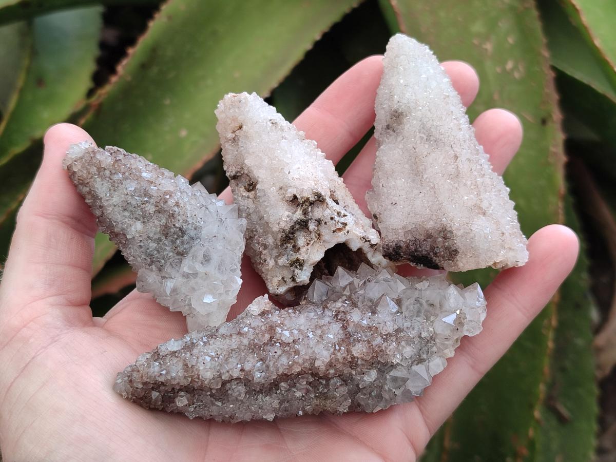 Natural Drusy Quartz Coated Spearhead Calcite Crystals x 12 From Albert's Mountain, Lesotho - Toprock Gemstones and Minerals 