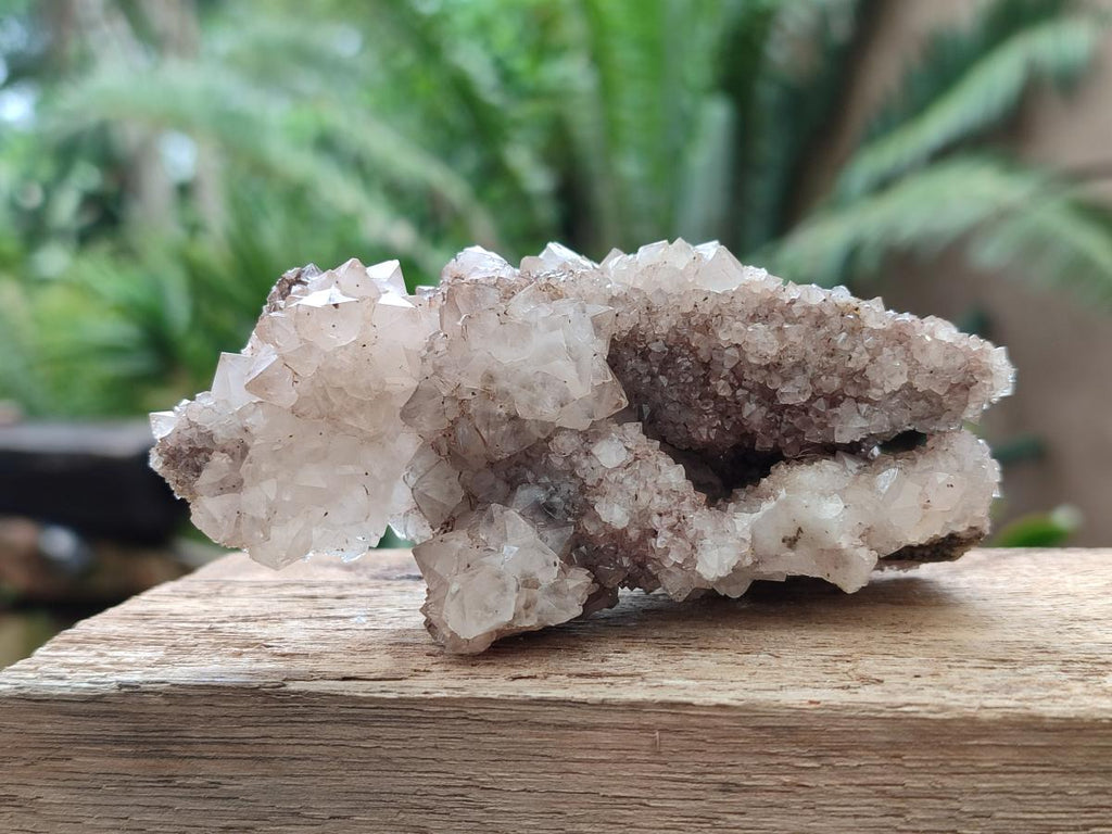 Natural Drusy Quartz Coated Spearhead Calcite Crystals x 12 From Albert's Mountain, Lesotho - Toprock Gemstones and Minerals 