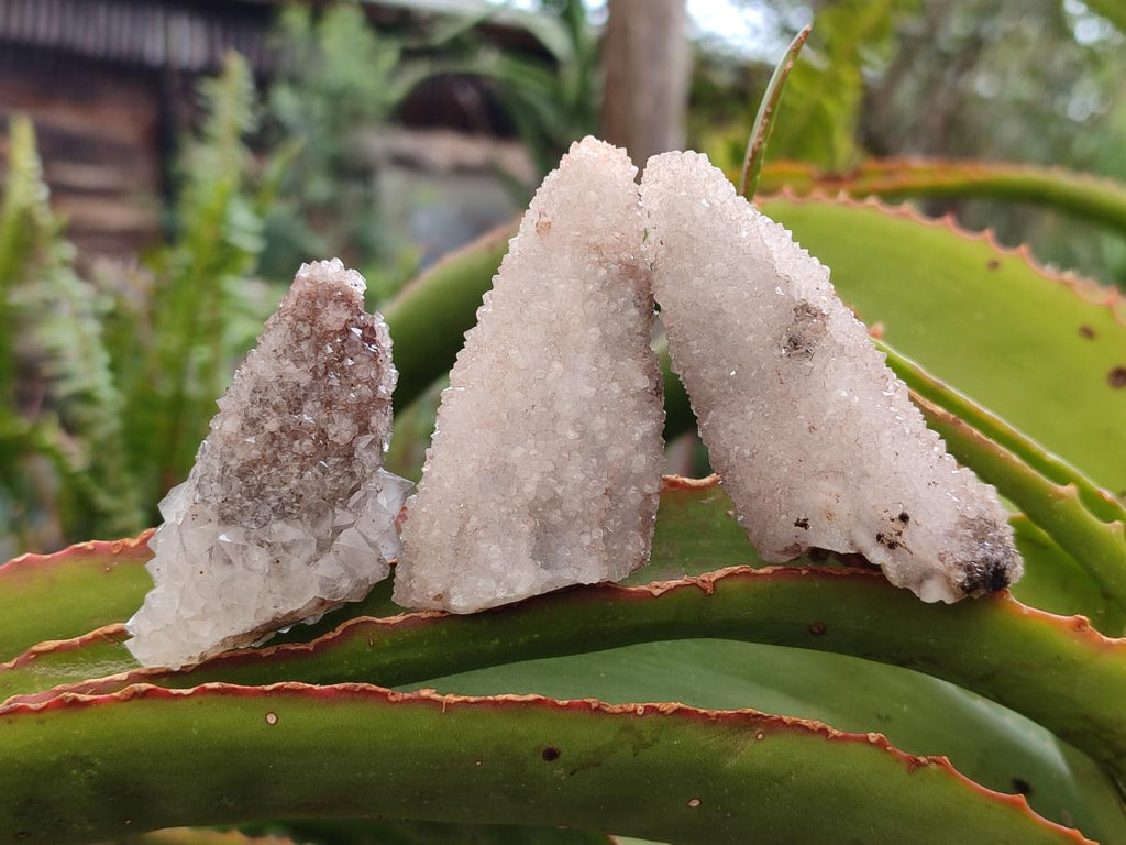 Natural Drusy Quartz Coated Spearhead Calcite Crystals x 12 From Albert's Mountain, Lesotho - Toprock Gemstones and Minerals 