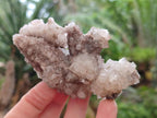 Natural Drusy Quartz Coated Spearhead Calcite Crystals x 12 From Albert's Mountain, Lesotho - Toprock Gemstones and Minerals 