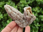 Natural Drusy Quartz Coated Spearhead Calcite Crystals x 12 From Albert's Mountain, Lesotho - Toprock Gemstones and Minerals 
