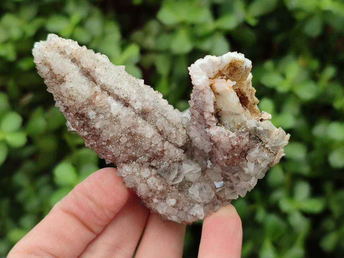 Natural Drusy Quartz Coated Spearhead Calcite Crystals x 12 From Albert's Mountain, Lesotho - Toprock Gemstones and Minerals 