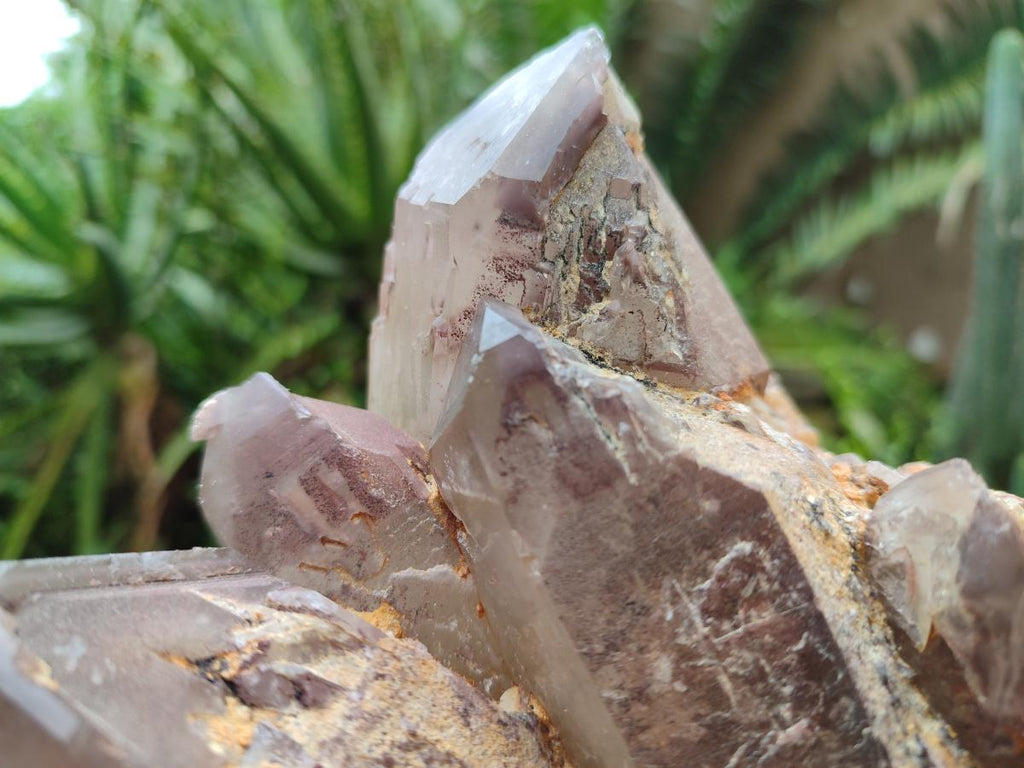 Natural Large Red Hematoid Quartz Crystal Cluster x 1 From Karoi, Zimbabwe - Toprock Gemstones and Minerals 