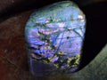 Polished Rare Purple Sunset Flash Labradorite Standing Free Forms x 2 From Madagascar - Toprock Gemstones and Minerals 