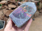Polished Rare Purple Sunset Flash Labradorite Standing Free Forms x 2 From Madagascar - Toprock Gemstones and Minerals 