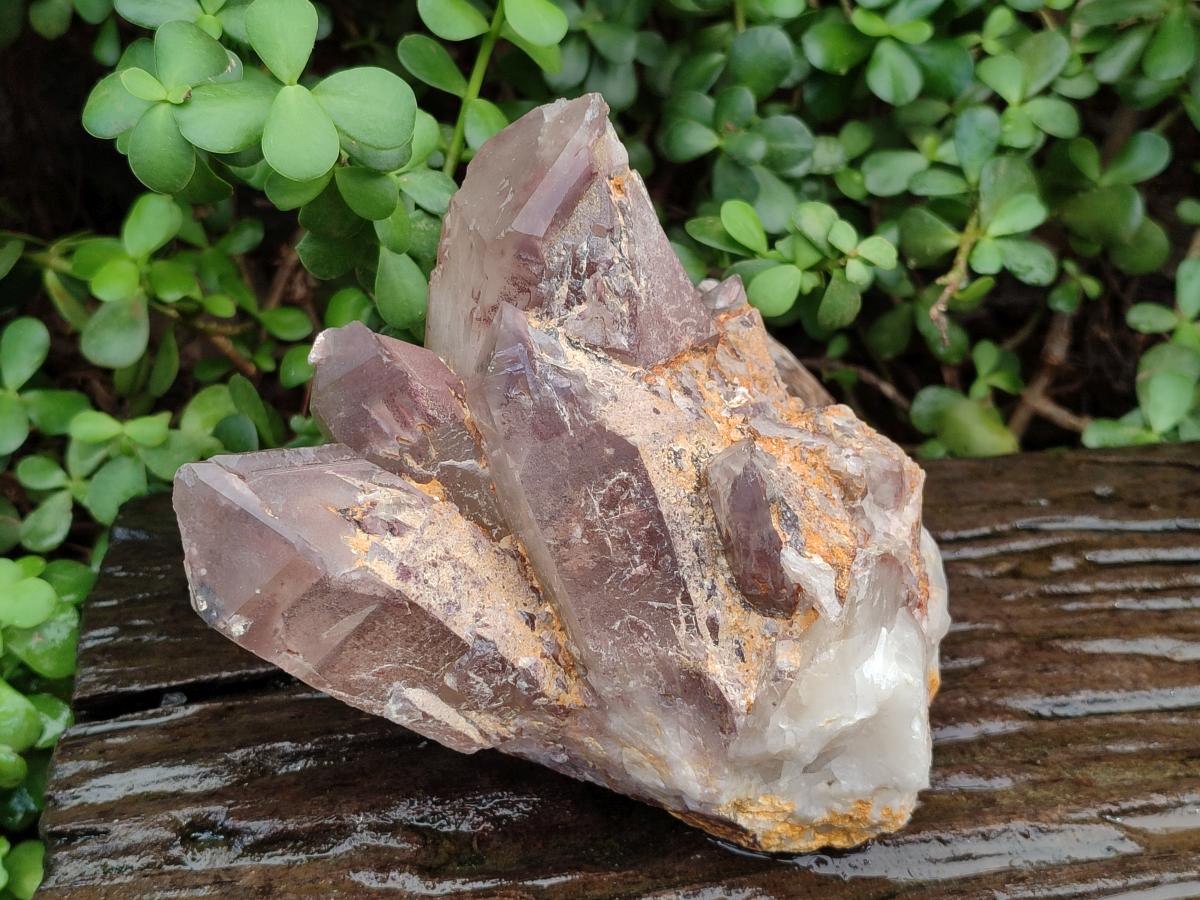 Natural Large Red Hematoid Quartz Crystal Cluster x 1 From Karoi, Zimbabwe - Toprock Gemstones and Minerals 