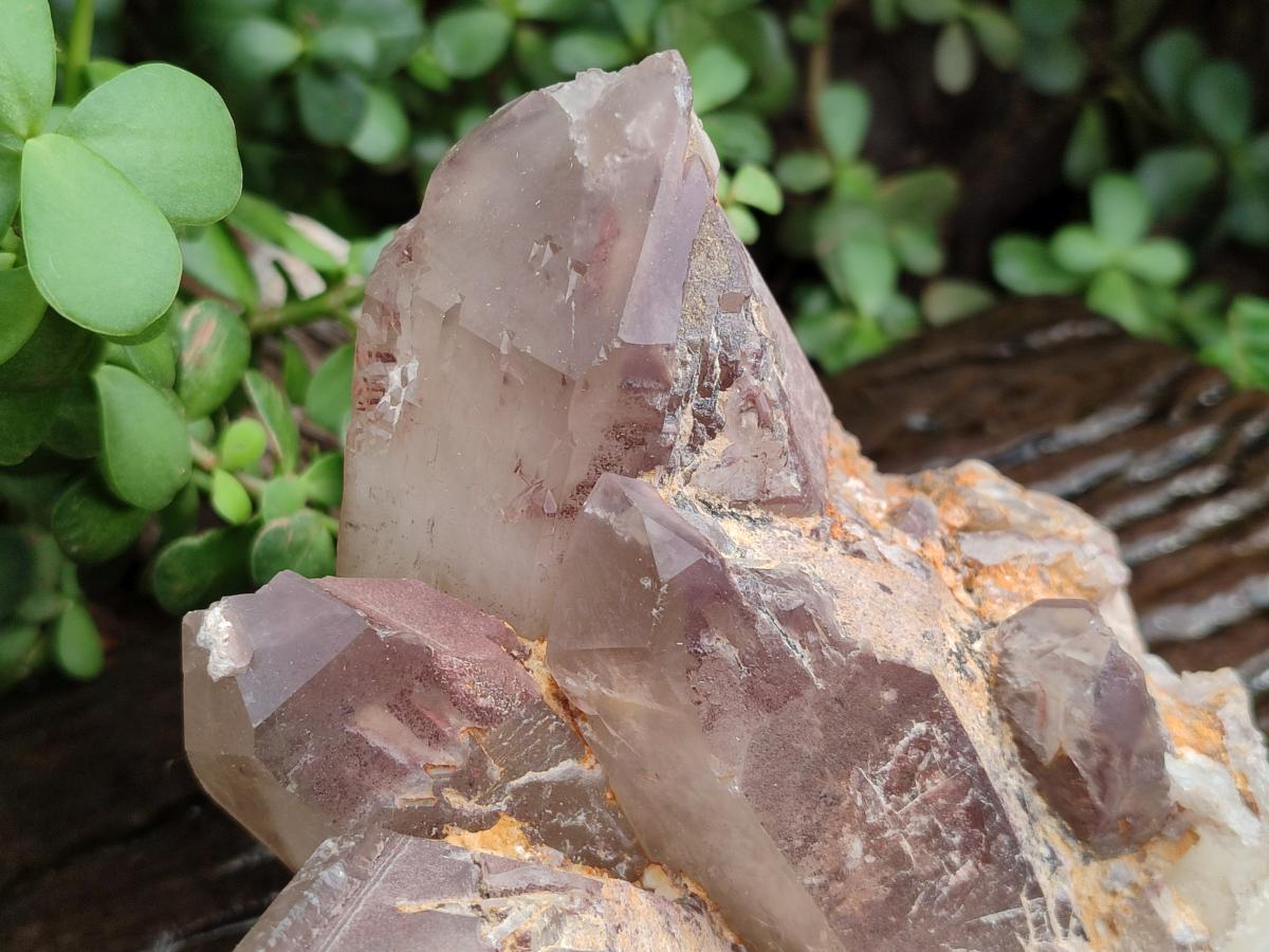 Natural Large Red Hematoid Quartz Crystal Cluster x 1 From Karoi, Zimbabwe - Toprock Gemstones and Minerals 