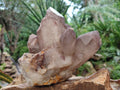 Natural Large Red Hematoid Quartz Crystal Cluster x 1 From Karoi, Zimbabwe - Toprock Gemstones and Minerals 