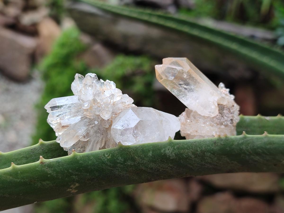 Natural Mixed Minerals of Brandberg Crystals and Clusters x 22 From Brandberg, Namibia - Toprock Gemstones and Minerals 