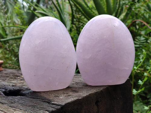 Polished Gemmy Rose Quartz Standing Free Forms x 2 From Madagascar - Toprock Gemstones and Minerals 