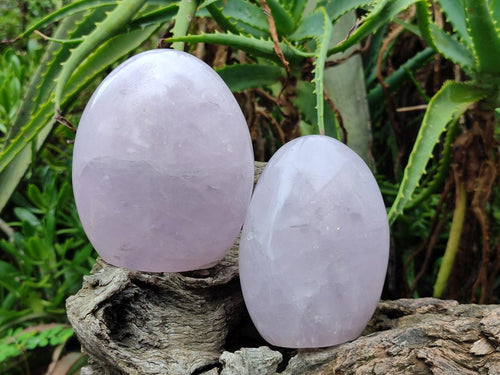 Polished Gemmy Rose Quartz Standing Free Forms x 2 From Madagascar - Toprock Gemstones and Minerals 