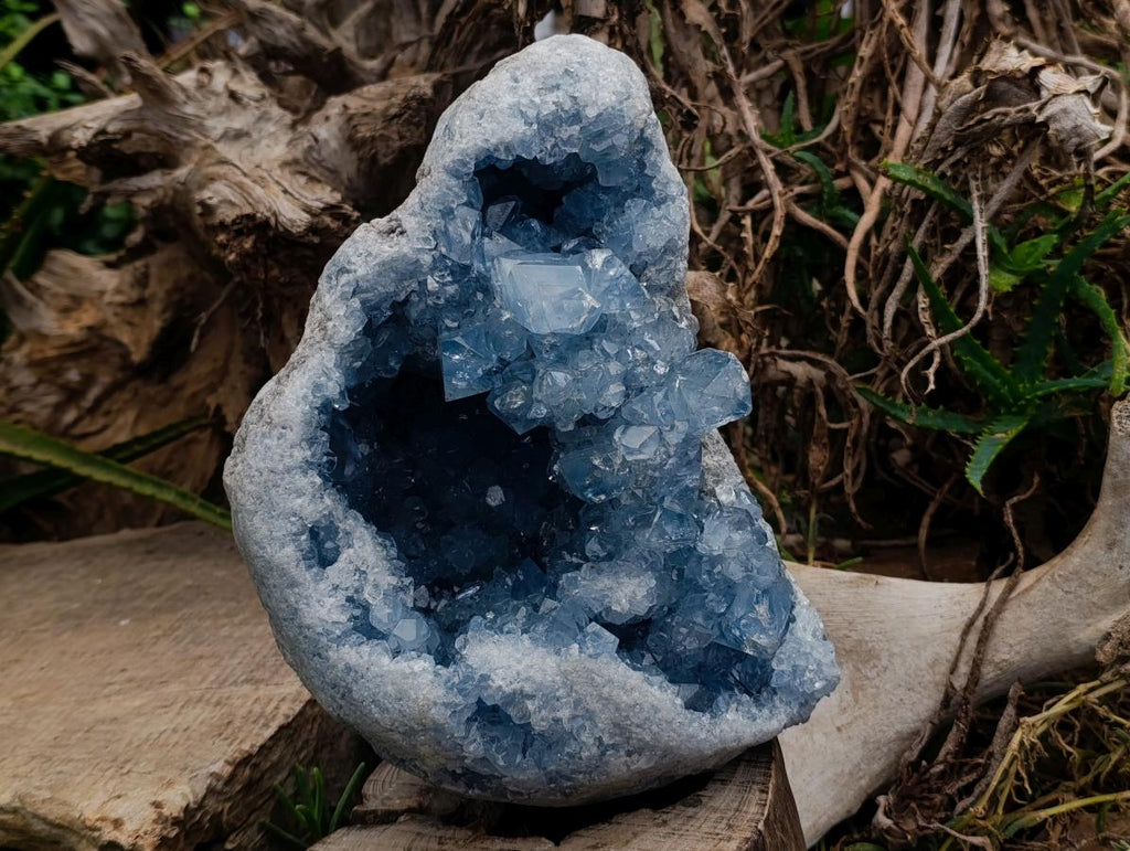 Natural XL Blue Celestite Geode Specimen x 1 From Sakoany, Madagascar - Toprock Gemstones and Minerals 