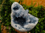 Natural XL Blue Celestite Geode Specimen x 1 From Sakoany, Madagascar - Toprock Gemstones and Minerals 