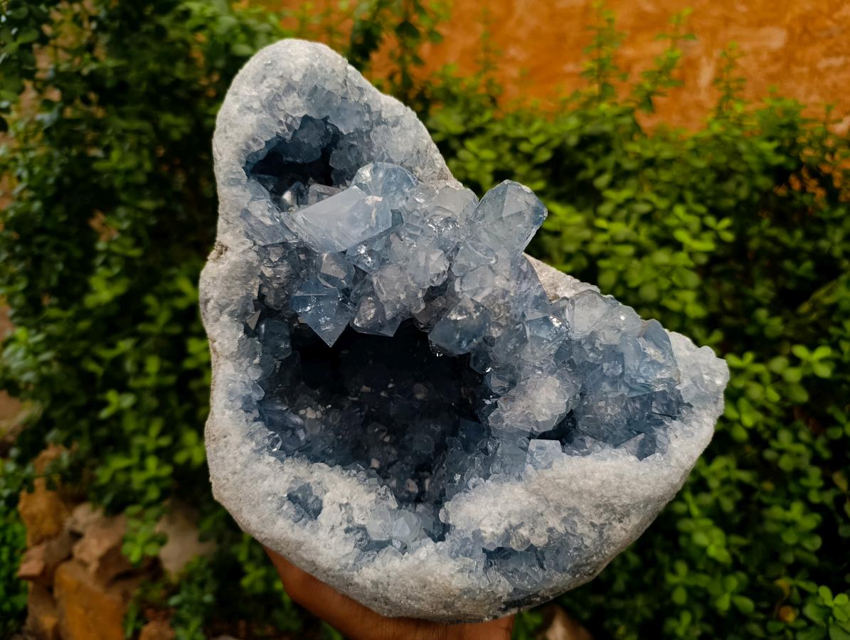 Natural XL Blue Celestite Geode Specimen x 1 From Sakoany, Madagascar - Toprock Gemstones and Minerals 