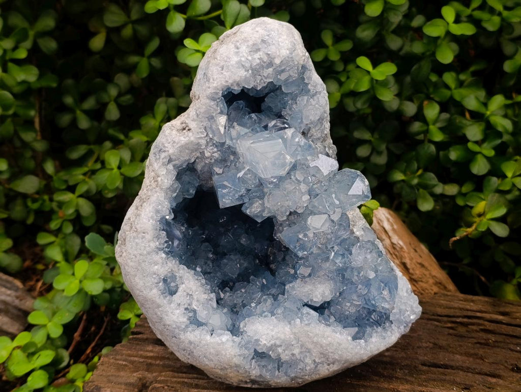 Natural XL Blue Celestite Geode Specimen x 1 From Sakoany, Madagascar - Toprock Gemstones and Minerals 