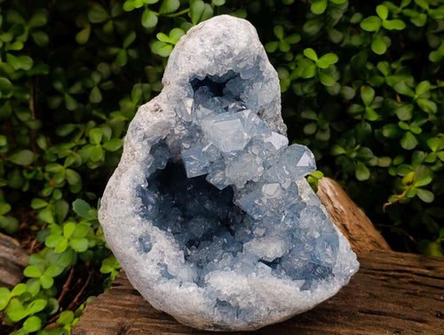 Natural XL Blue Celestite Geode Specimen x 1 From Sakoany, Madagascar - Toprock Gemstones and Minerals 