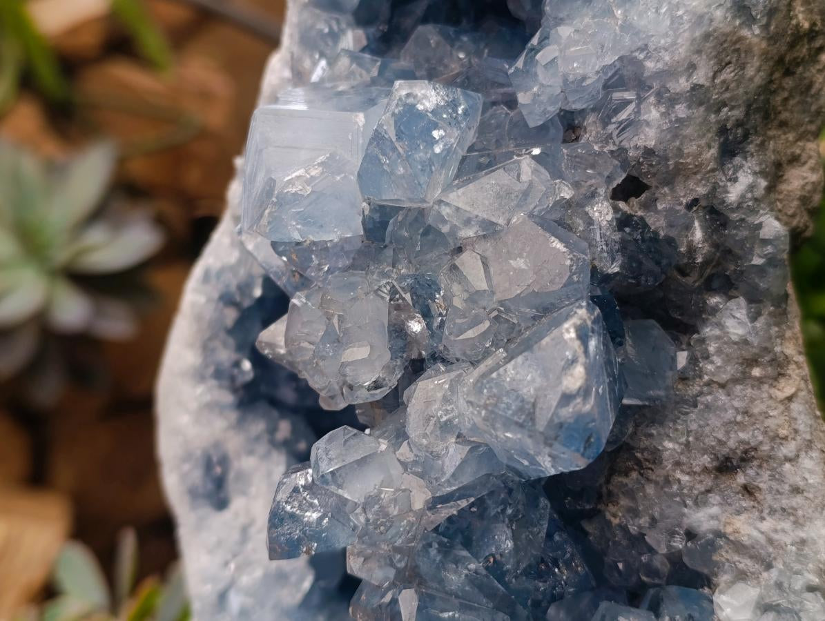 Natural XL Blue Celestite Geode Specimen x 1 From Sakoany, Madagascar - Toprock Gemstones and Minerals 