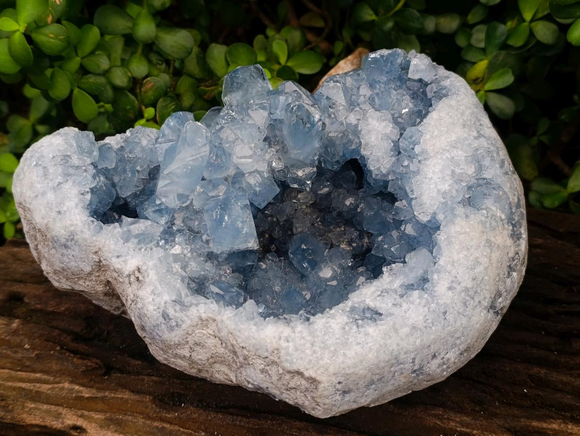 Natural XL Blue Celestite Geode Specimen x 1 From Sakoany, Madagascar - Toprock Gemstones and Minerals 