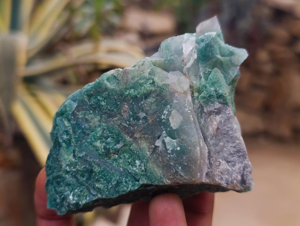 Natural Swazi Jade Cobbed Specimens x 12 From Swaziland - Toprock Gemstones and Minerals 