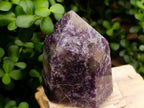 Polished Lepidolite Display Crystals x 2 From Ambatondrazaka, Madagascar - Toprock Gemstones and Minerals 