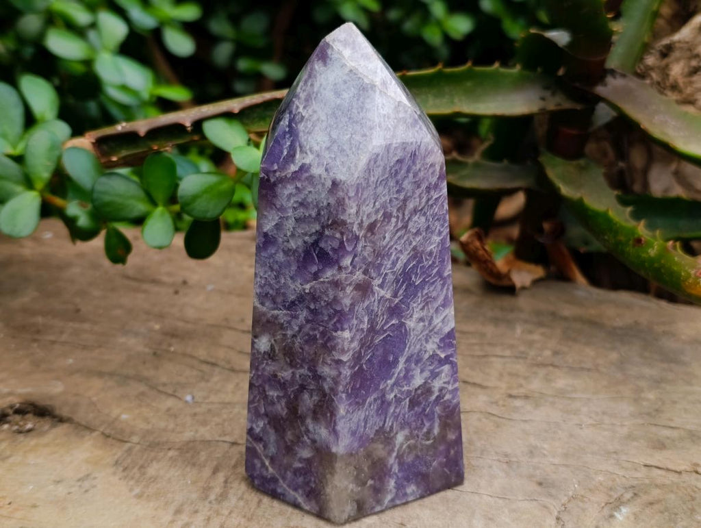 Polished Lepidolite Display Crystals x 2 From Ambatondrazaka, Madagascar - Toprock Gemstones and Minerals 