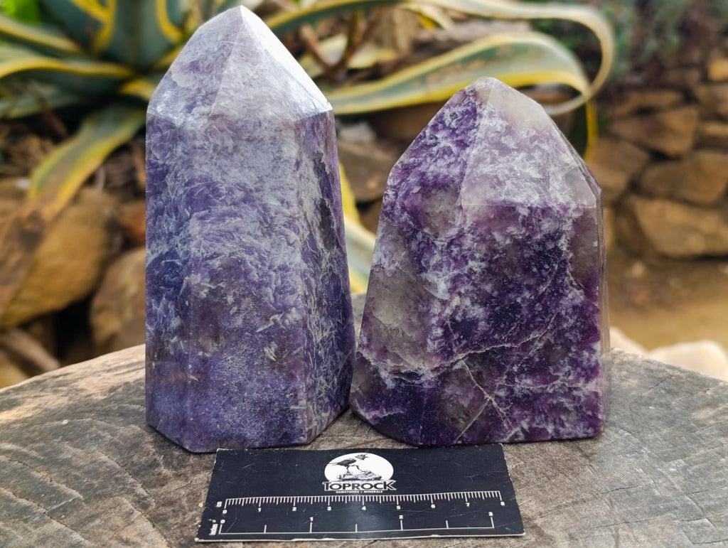 Polished Lepidolite Display Crystals x 2 From Ambatondrazaka, Madagascar - Toprock Gemstones and Minerals 