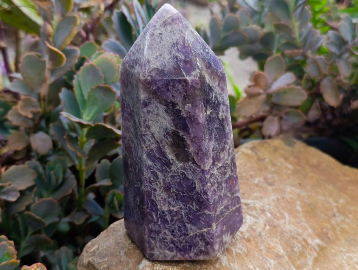Polished Lepidolite Display Crystals x 2 From Ambatondrazaka, Madagascar - Toprock Gemstones and Minerals 
