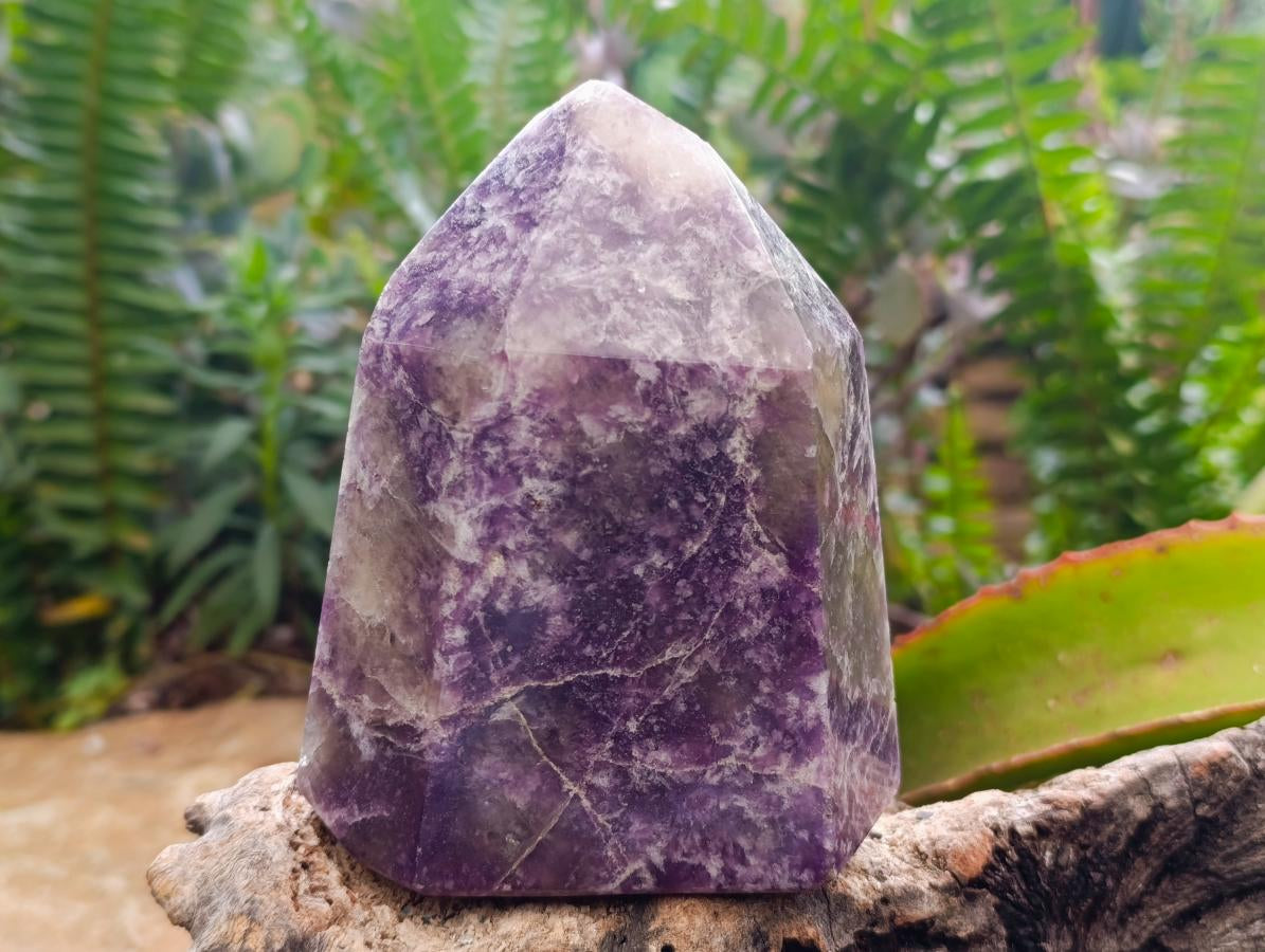 Polished Lepidolite Display Crystals x 2 From Ambatondrazaka, Madagascar - Toprock Gemstones and Minerals 