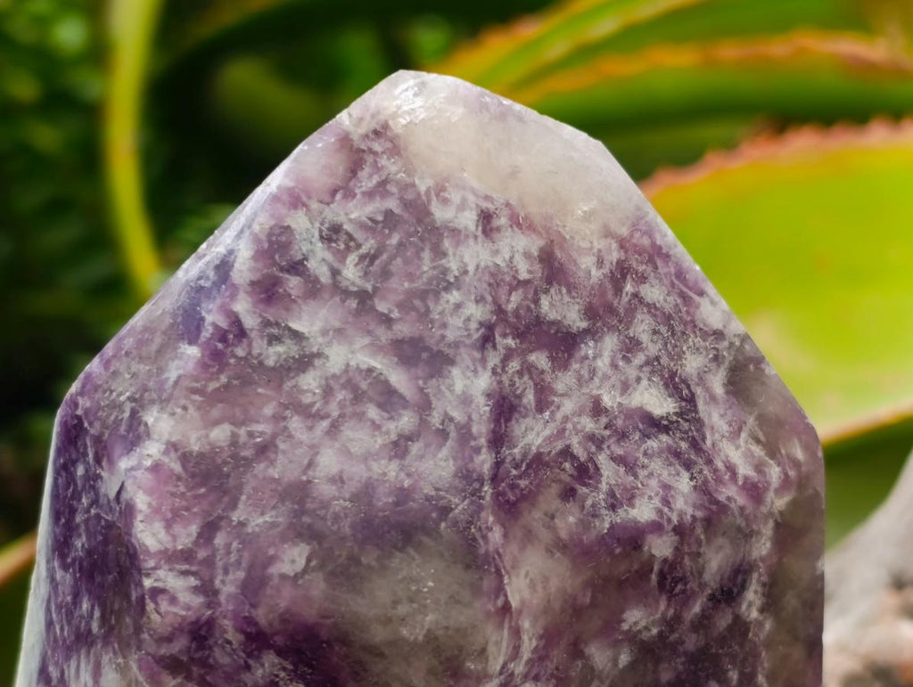 Polished Lepidolite Display Crystals x 2 From Ambatondrazaka, Madagascar - Toprock Gemstones and Minerals 