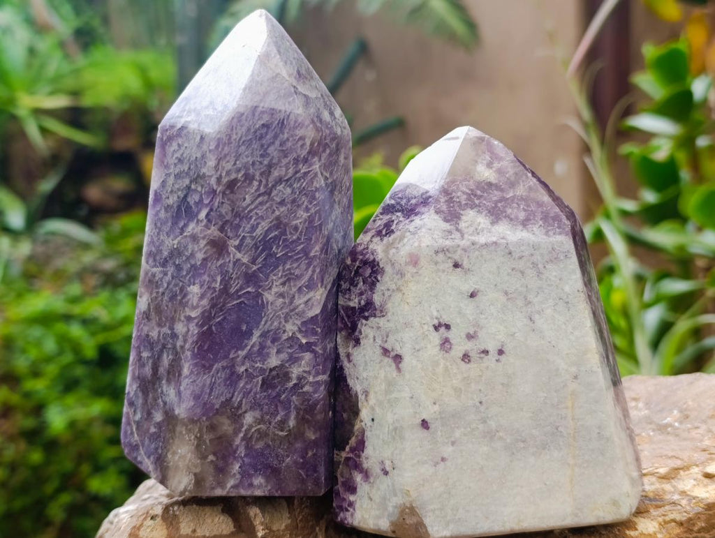 Polished Lepidolite Display Crystals x 2 From Ambatondrazaka, Madagascar - Toprock Gemstones and Minerals 