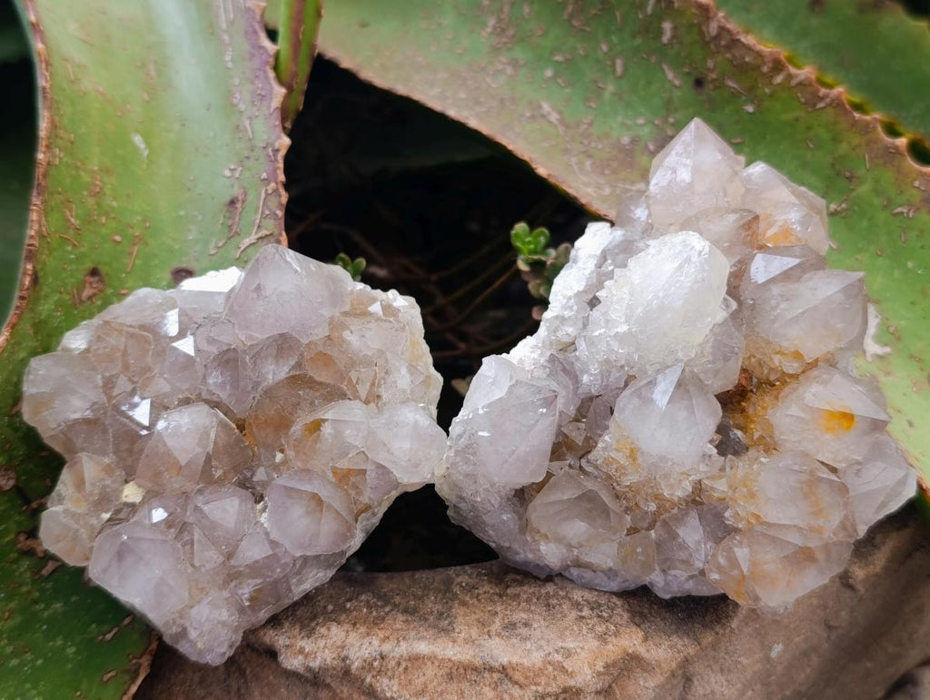 Natural Smokey Ametrine Spirit Clusters x 6 From Boekenhouthoek, South Africa - Toprock Gemstones and Minerals 