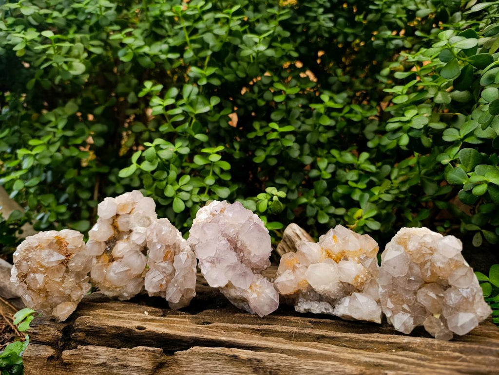 Natural Smokey Ametrine Spirit Clusters x 6 From Boekenhouthoek, South Africa - Toprock Gemstones and Minerals 