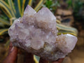 Natural Smokey Ametrine Spirit Clusters x 6 From Boekenhouthoek, South Africa - Toprock Gemstones and Minerals 