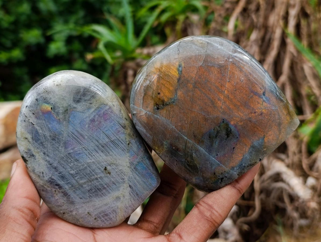 Polished Rare Purple Sunset Flash Labradorite Standing Free Forms x 6 From Madagascar - Toprock Gemstones and Minerals 