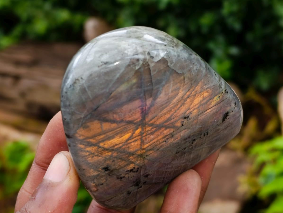 Polished Rare Purple Sunset Flash Labradorite Standing Free Forms x 6 From Madagascar - Toprock Gemstones and Minerals 