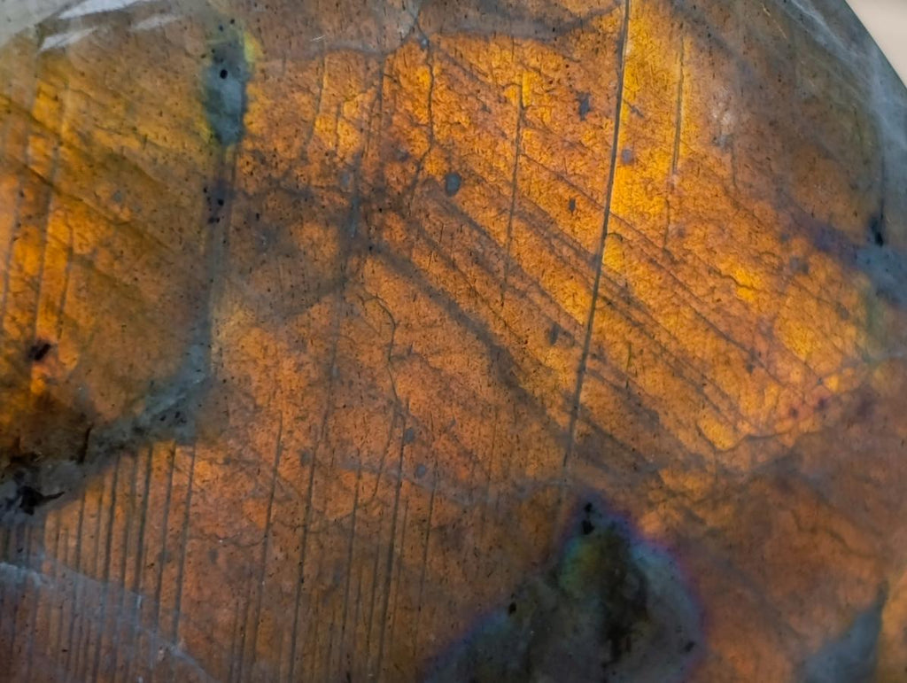 Polished Rare Purple Sunset Flash Labradorite Standing Free Forms x 6 From Madagascar - Toprock Gemstones and Minerals 