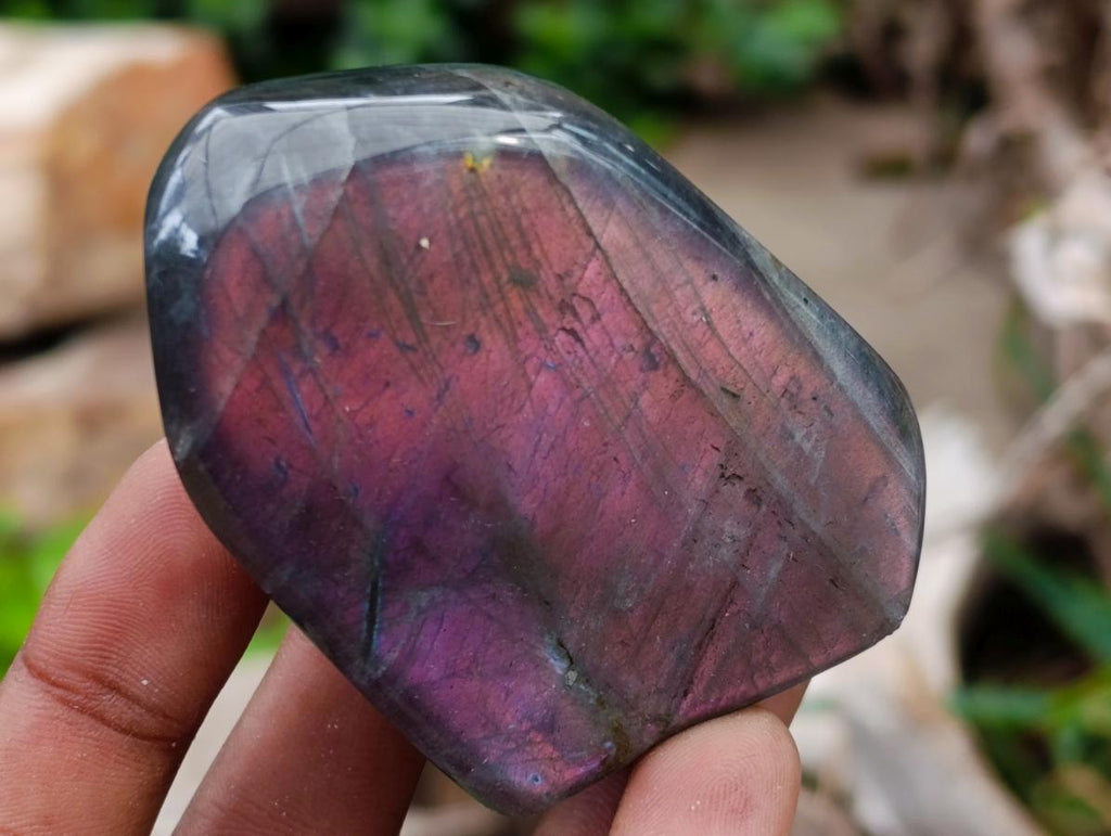Polished Rare Purple Sunset Flash Labradorite Standing Free Forms x 6 From Madagascar - Toprock Gemstones and Minerals 