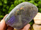 Polished Rare Purple Sunset Flash Labradorite Standing Free Forms x 6 From Madagascar - Toprock Gemstones and Minerals 