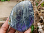 Polished Rare Purple Sunset Flash Labradorite Standing Free Forms x 6 From Madagascar - Toprock Gemstones and Minerals 