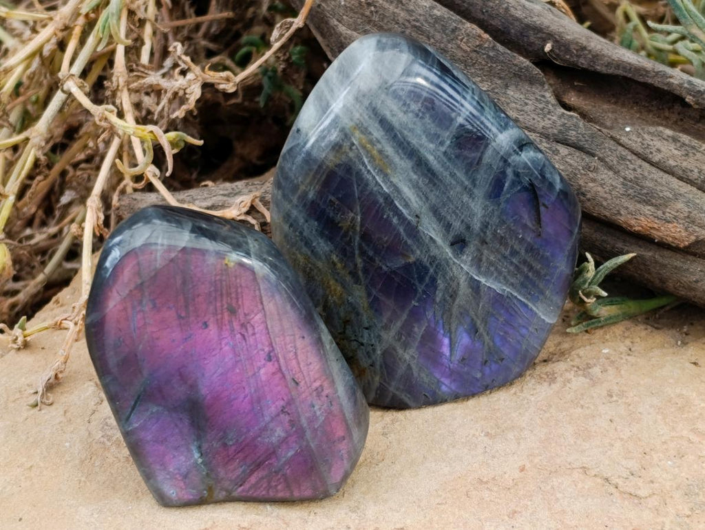 Polished Rare Purple Sunset Flash Labradorite Standing Free Forms x 6 From Madagascar - Toprock Gemstones and Minerals 