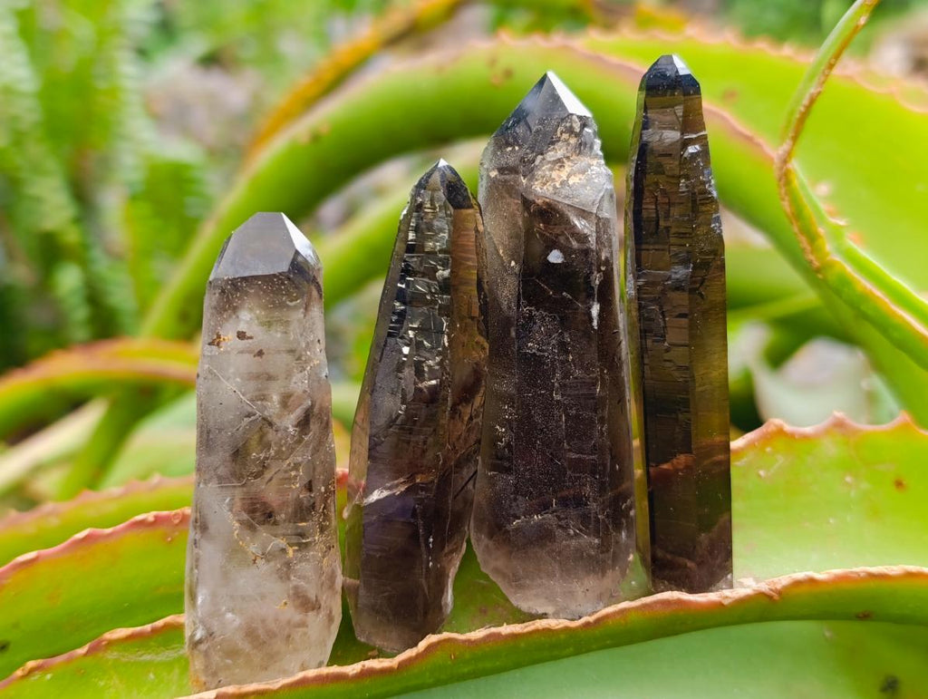 Natural Smokey Quartz Crystals x 35 From Mulanje, Malawi - Toprock Gemstones and Minerals 