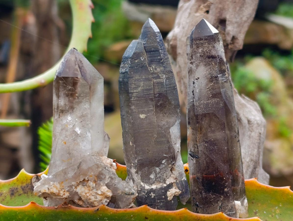 Natural Smokey Quartz Crystals x 35 From Mulanje, Malawi - Toprock Gemstones and Minerals 