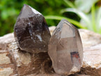 Natural Smokey Quartz Crystals x 35 From Mulanje, Malawi - Toprock Gemstones and Minerals 