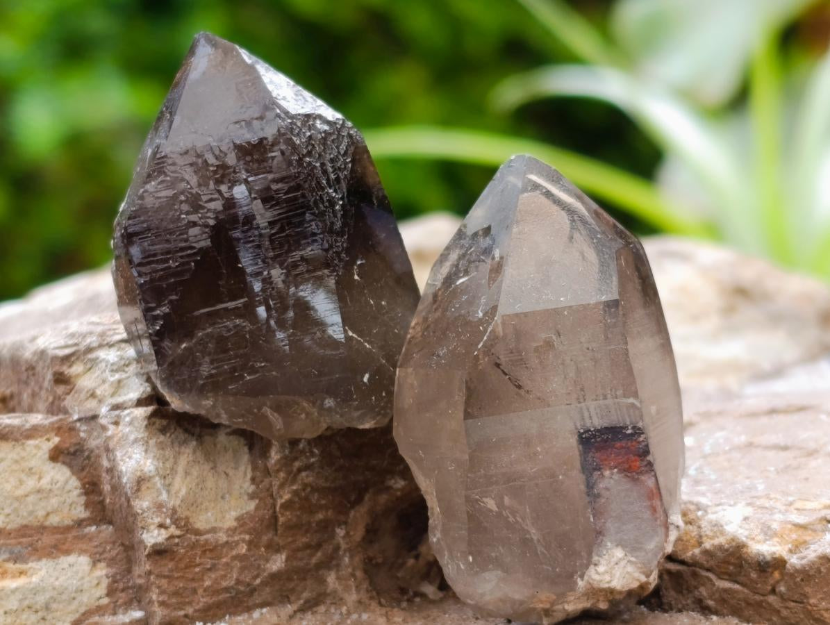 Natural Smokey Quartz Crystals x 35 From Mulanje, Malawi - Toprock Gemstones and Minerals 