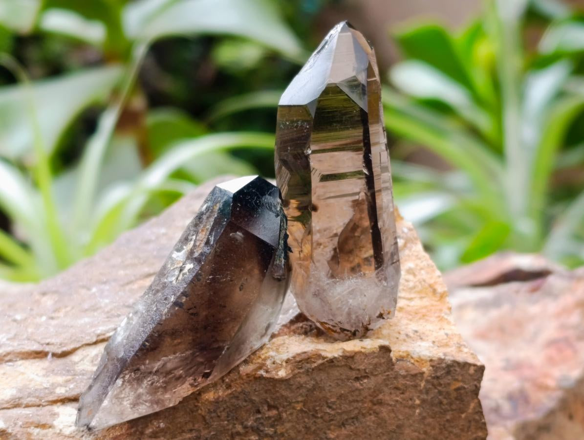 Natural Smokey Quartz Crystals x 35 From Mulanje, Malawi - Toprock Gemstones and Minerals 