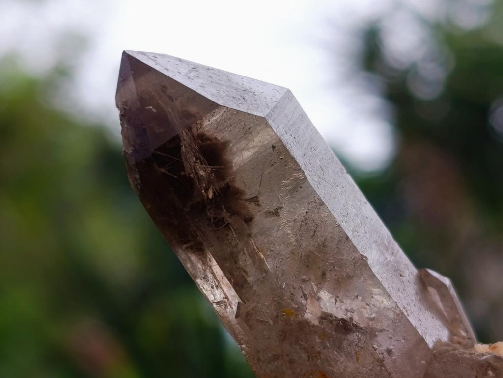 Natural Smokey Quartz Crystals x 35 From Mulanje, Malawi - Toprock Gemstones and Minerals 