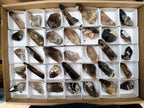 Natural Smokey Quartz Crystals x 35 From Mulanje, Malawi - Toprock Gemstones and Minerals 