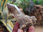 Natural Smokey Quartz Crystals x 35 From Mulanje, Malawi - Toprock Gemstones and Minerals 