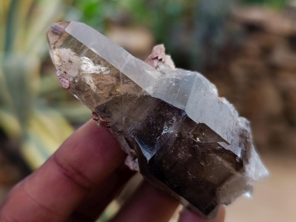 Natural Smokey Quartz Crystals x 35 From Mulanje, Malawi - Toprock Gemstones and Minerals 